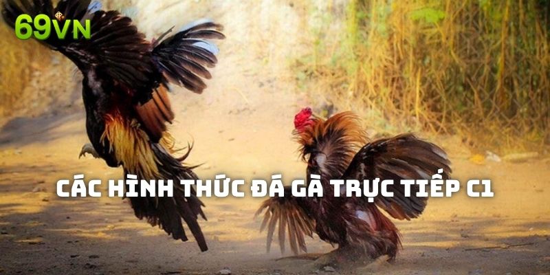 Một vài hình thức đá gà trực tiếp C1 69VN không thể bỏ lỡ